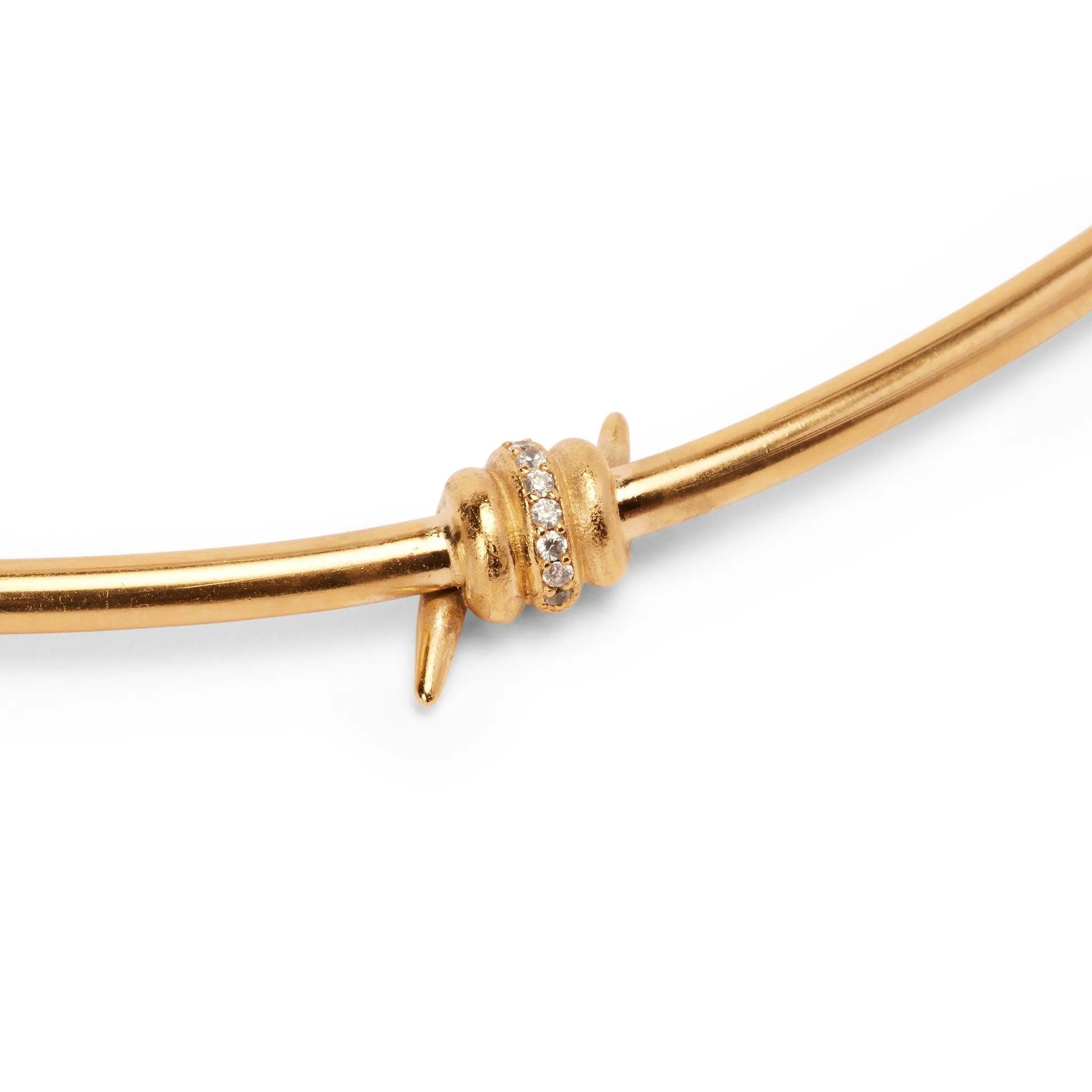 Embrace Your Inner Strength with the Last Thorne Necklace