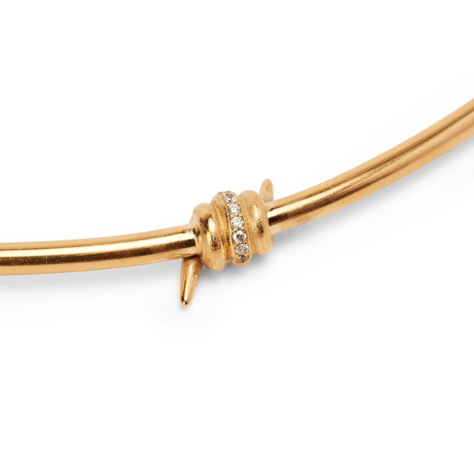 Embrace Your Inner Strength with the Last Thorne Necklace