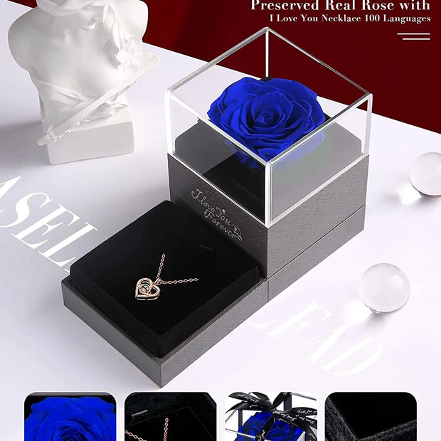 Eternal Love: Preserved Red Rose & Heart Necklace Gift Set - Express Your Feelings in 100 Languages for Every Special Occasion